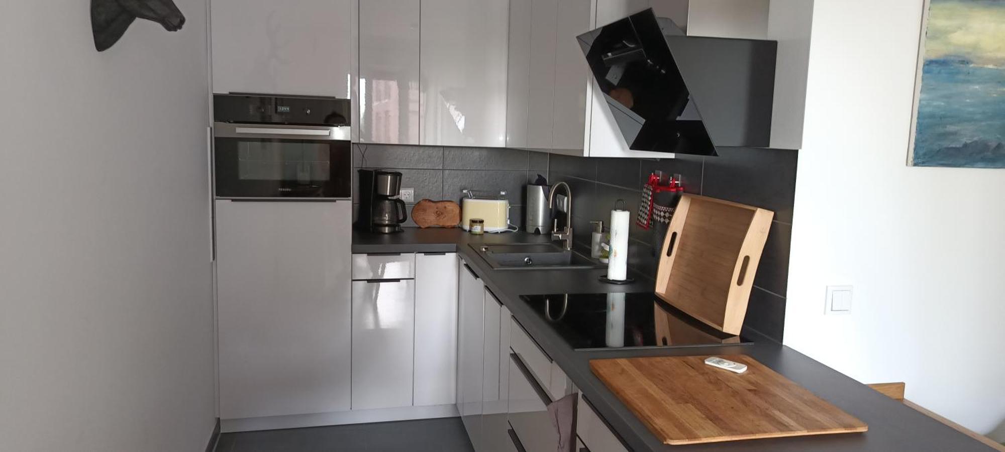 Wunderschoene Direkt An Der Elbe, Alt-und Neustadtnaehe Apartment *